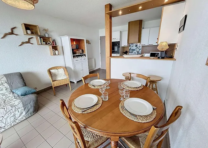 Joli T2 En Front De Avec Acces Direct Plage, Terrasse Privative, Parking Et Wi-fi Gratuit - Fr-1-361-45